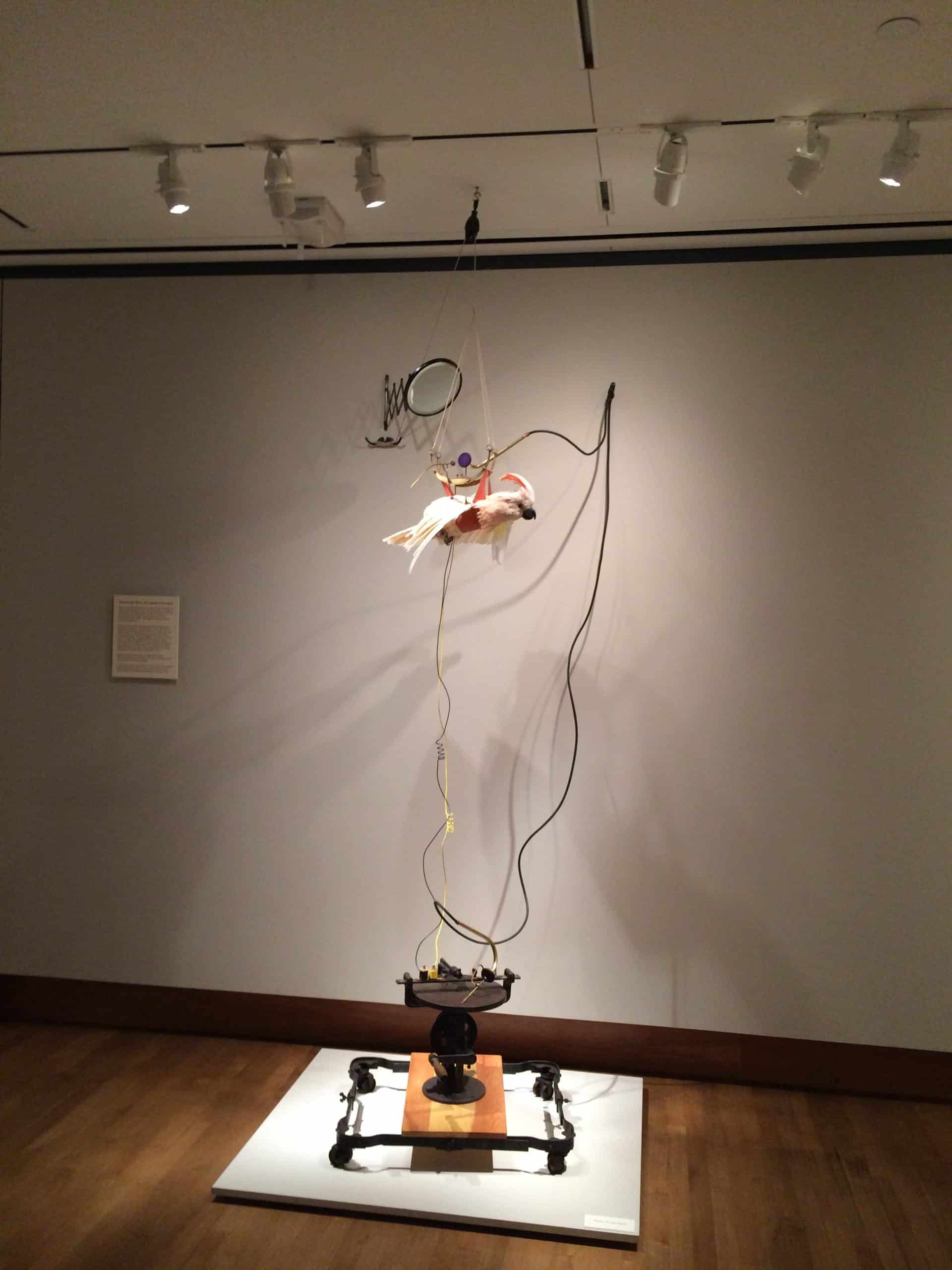  “Deconstructing Flight: An Homage To Etienne-Jules Marey.” Photo by Chali Pittman 
