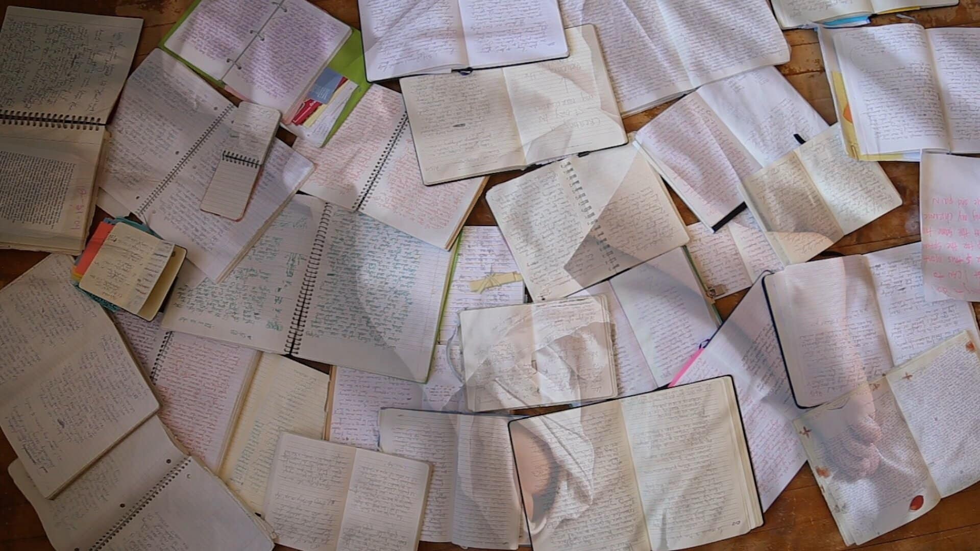 A still from Exit Strategy #5.