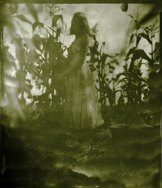J. Shimon & J. Lindemann, “Prom Queen Picking Corn
