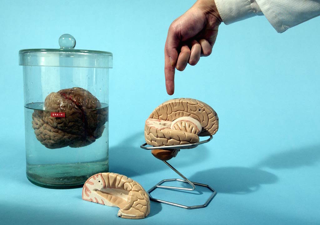 Four episodes of Look Around You screen August 19 at the Madison Museum of Contemporary Art.