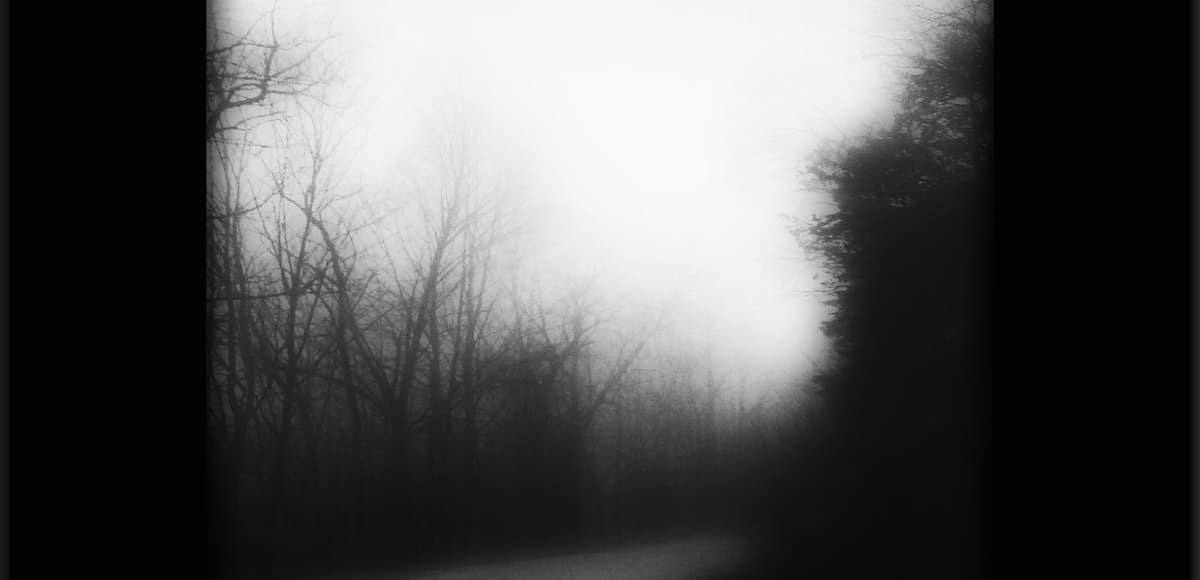 Detail from the cover art of 