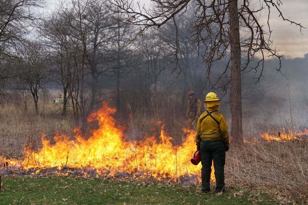 A crew member watches a fire they lit moments earlier to make sure it goes where it is wanted. The crew member is shown in the foreground in fire-protection gear and holding a drip torch, looking at a strip of flame. A second worker, similarly equipped, is in the background amid hazy smoke and dense, dry vegetagion.