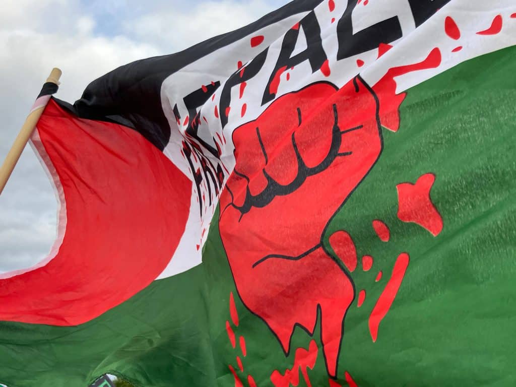 A photo shows a large flag combining the red, green, white, and black of the Palestinian flag with an image of a large red fist and text reading “Free Palestine.”