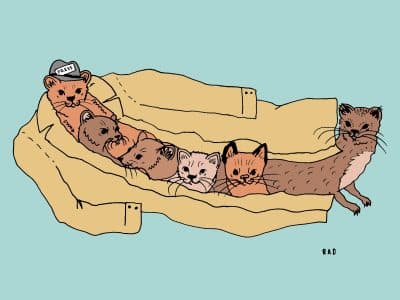 An illustration shows a group of six weasels inside a trench coat that is laying down horizontally on the ground. They are positioned to resemble a human propping themself up on one arm. The weasel occupying the neck of the trench coat wears a small hat with a "press" card stuck in its band.