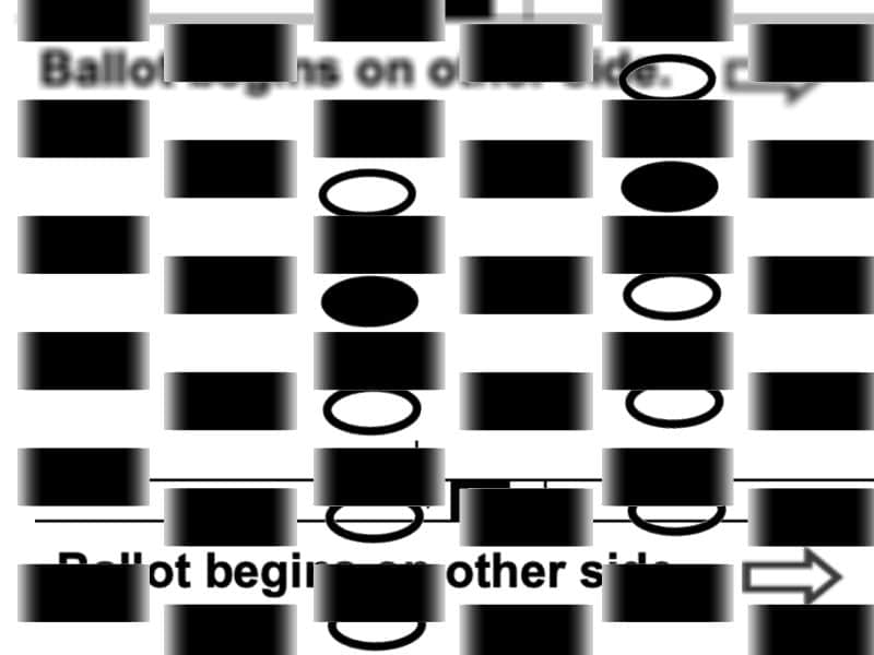 Graphic is an abstraction of ballot bubbles, dashes, and writing.