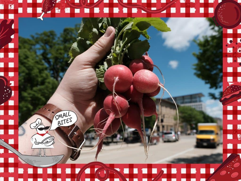 A photo of a bundle of red radishes is framed at a close-up. The author's left-hand holds the bundle by the radish greens at the top. Behind that, a slightly cloudy blue sky and short stretch of East Washington Avenue can be seen just off the Capitol Square on a spring day. An illustrated frame around the photo depicts a checked tablecloth pattern with various items of food. In the bottom left corner, a small caricature chef stands on a spoon with the speech bubble, "Small Bites."