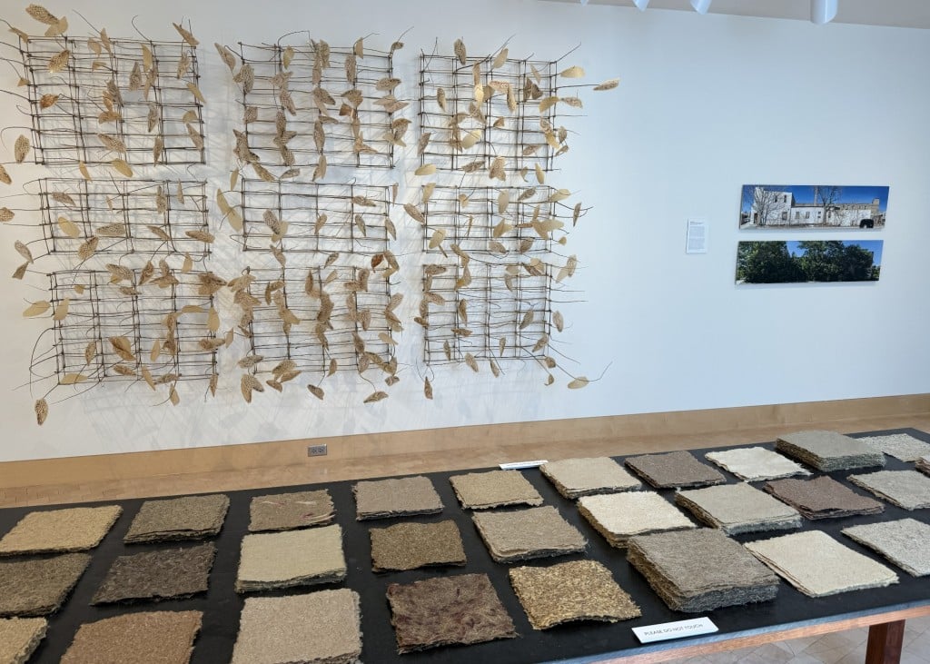 A photo of a gallery exhibition table and wall that include various materials and textiles. Several square-cut articles of paper are displayed neatly in vertical rows of three on the tabletop in the foreground. Several rectangular wire-mesh constructionsâalso in vertical rows of threeâare mounted on the white wall in the background. These constructions contain sparrow wings, each mounted individually. A smaller photograph of a building is hung on the wall to the right.