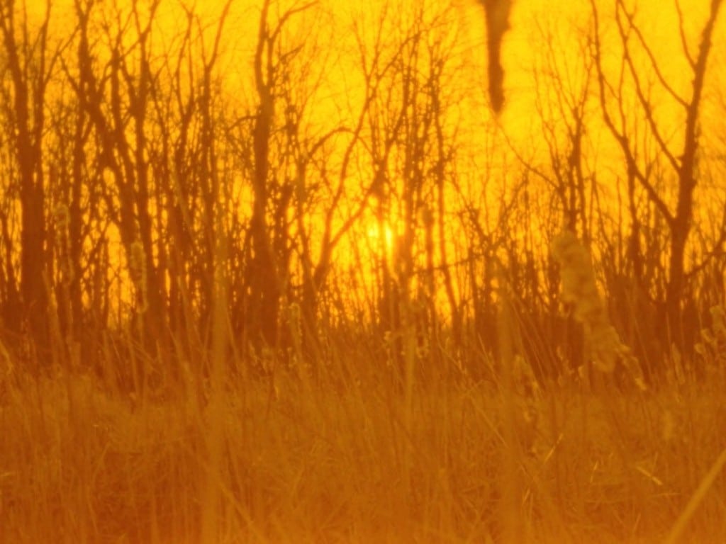 Still frame taken from the experimental documentary
