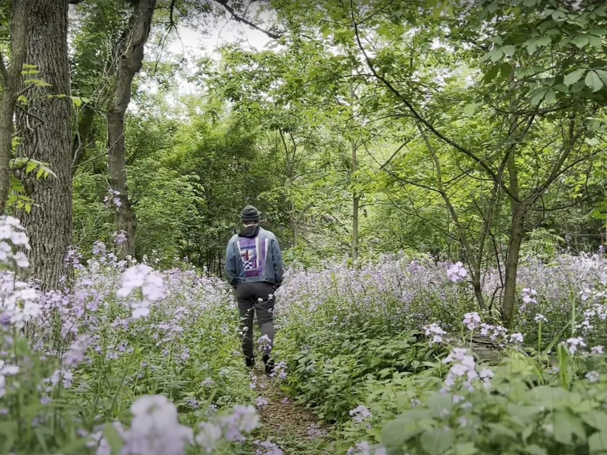 A still from the "Grown Used To It" video in which Tyler Fassnacht is pictured walking away from the camera in lush green woodlands. Flowers grow all around him as trees tower above.||A black-and-white photo of TS Foss performing as a trio at The Bur Oak.