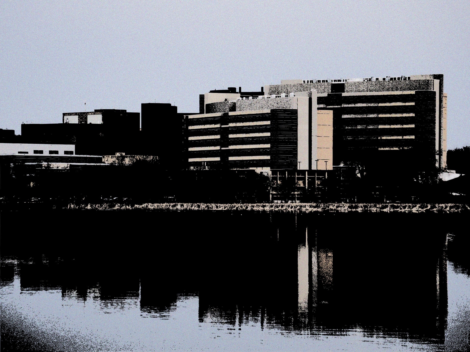 The federal war on trans healthcare mirrors that of abortion