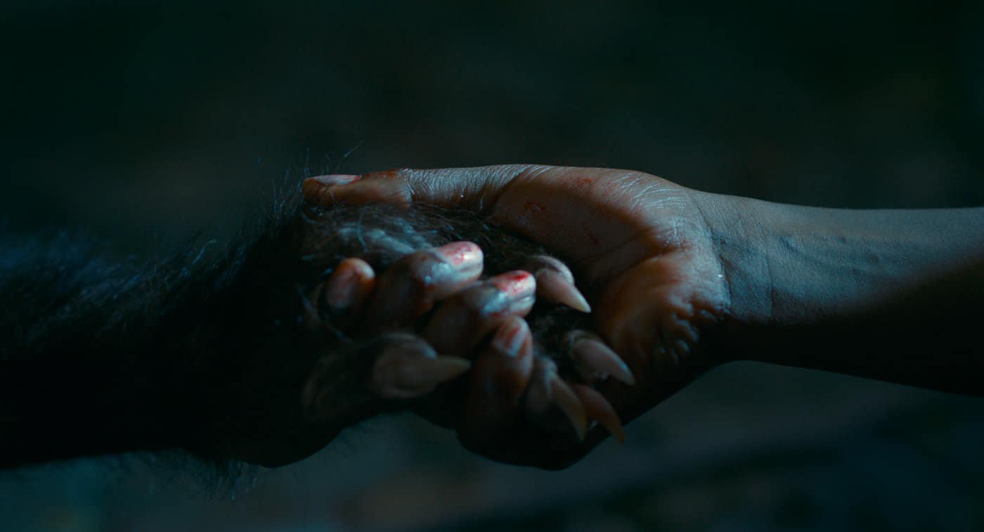Thrillers, horror, and exploitation at the 2018 Wisconsin Film Festival