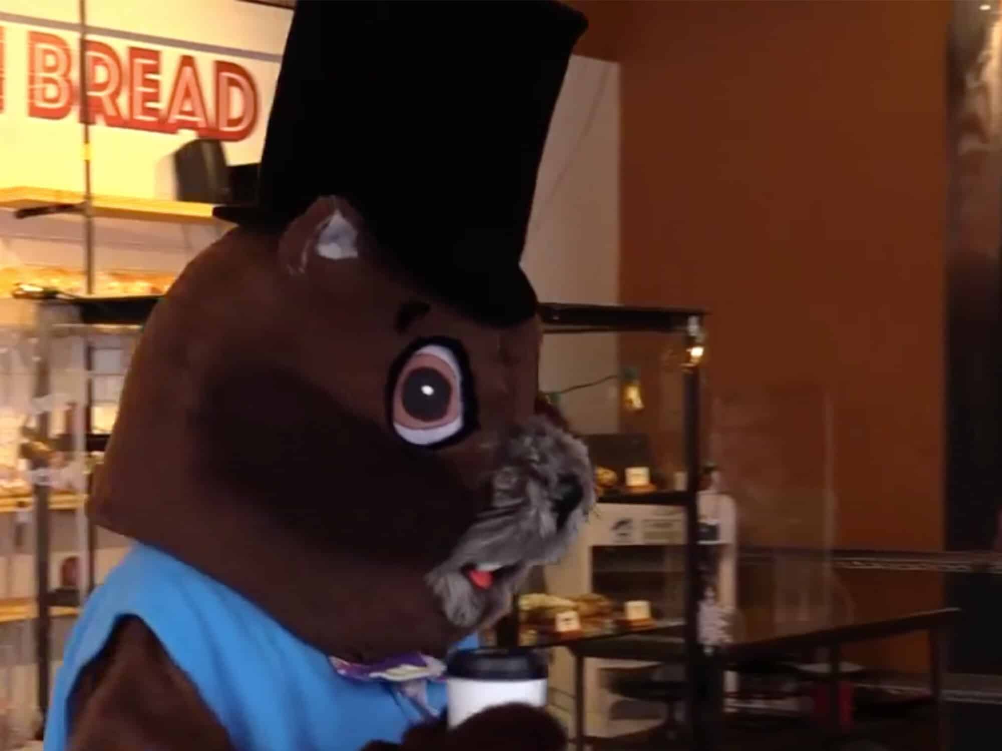 The groundhog fanatics next door