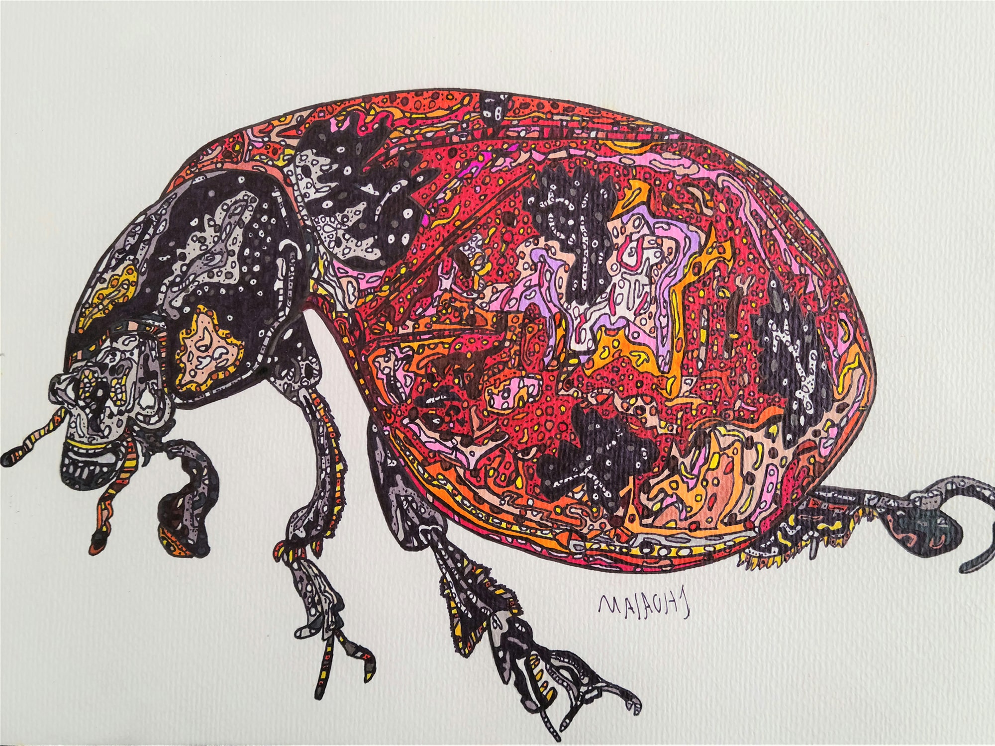 Malachi Schmidt's "Ladybug" renders the insect in an intricate arrangement of small, distinct shapes in multiple bold colors.|||