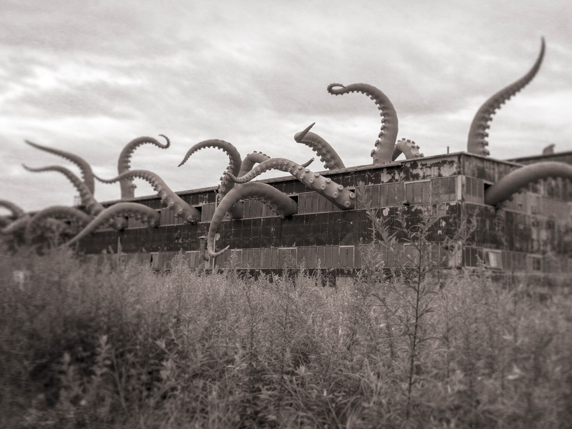 The terror that lay the parking lot
