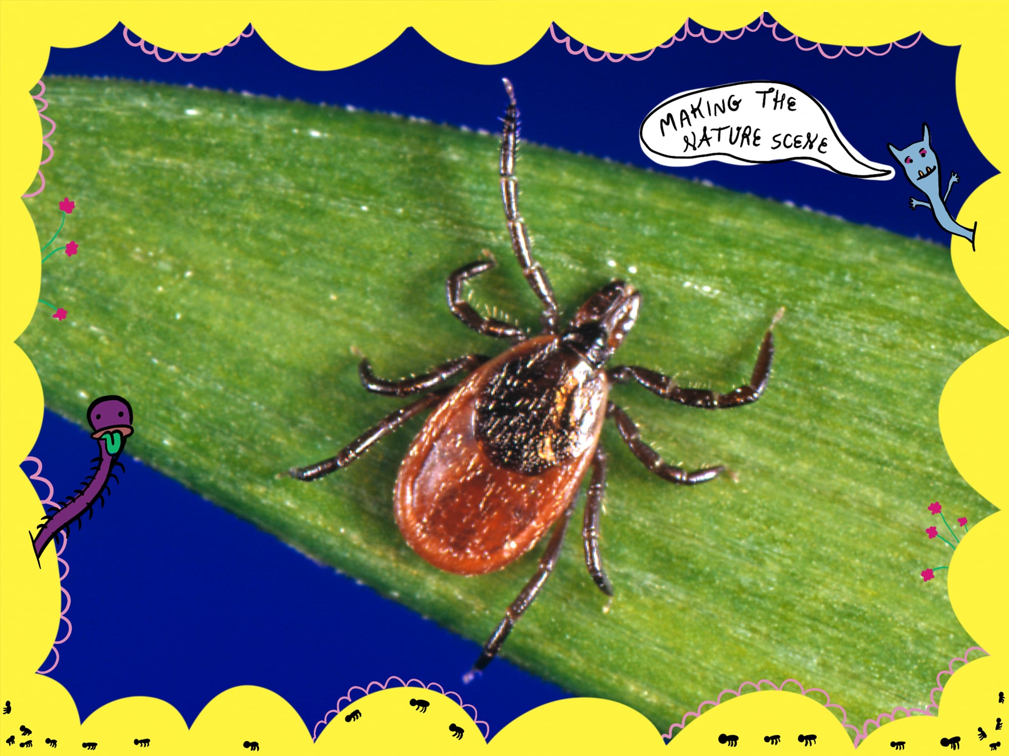 Making The Nature Scene: Tick a look at me now