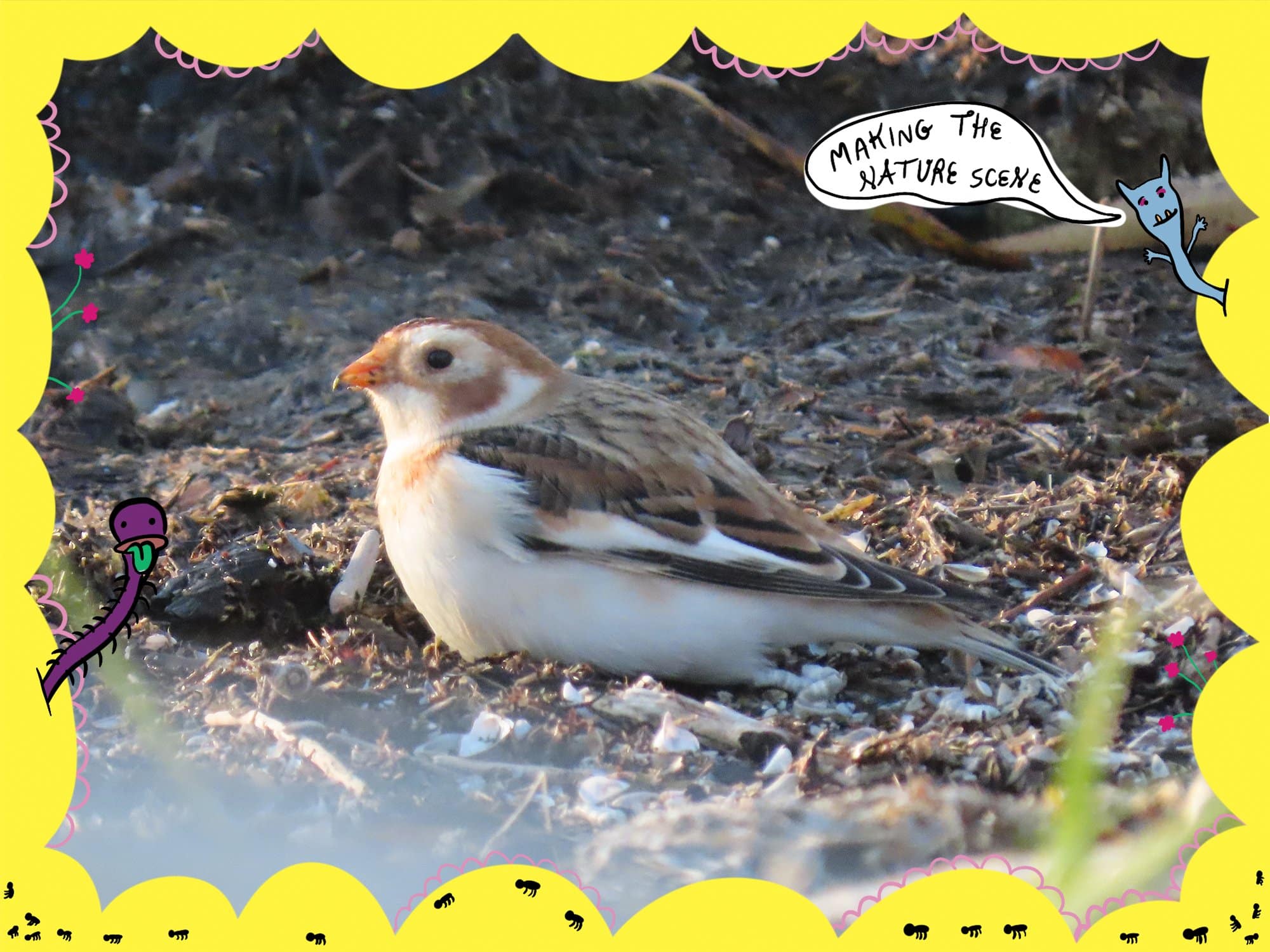 Making The Nature Scene: Outdoors is for the birds—and the humans!