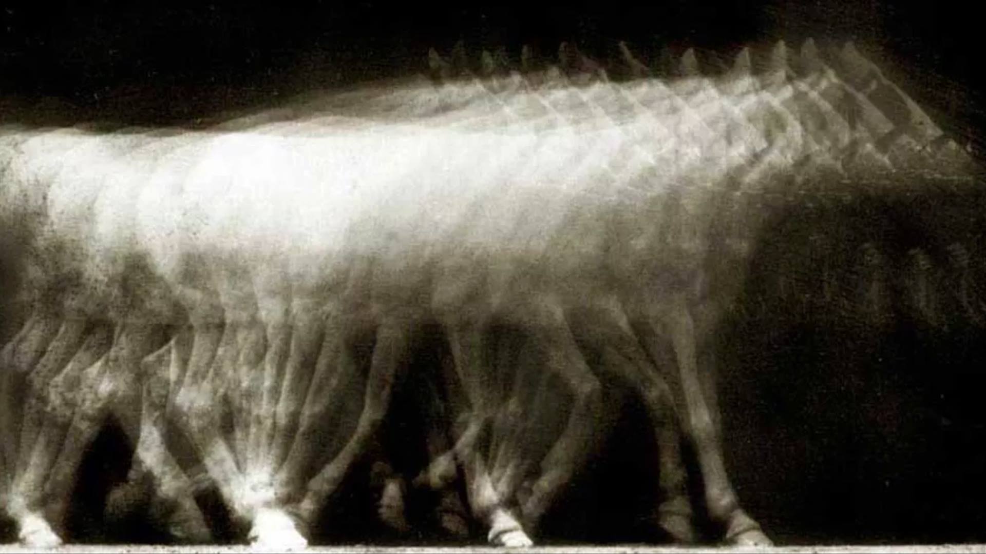 Podcast: UW Cinematheque’s adventures in 3-D