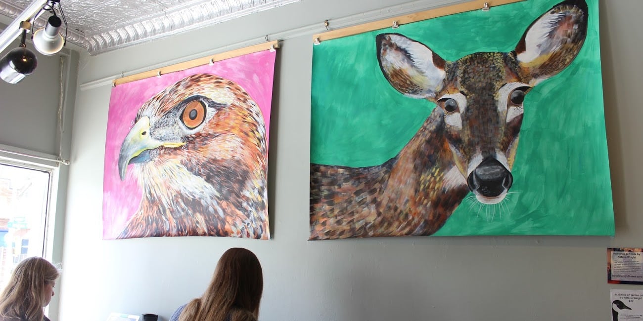 The striking fauna portraits of Natalie Wright